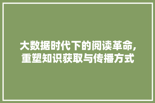 大数据时代下的阅读革命,重塑知识获取与传播方式
