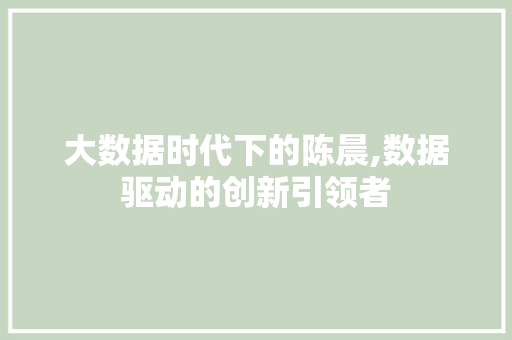 大数据时代下的陈晨,数据驱动的创新引领者