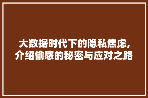 大数据时代下的隐私焦虑,介绍偷感的秘密与应对之路