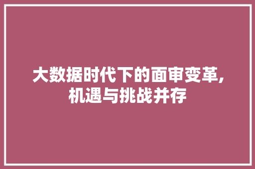 大数据时代下的面审变革,机遇与挑战并存 SEO教程