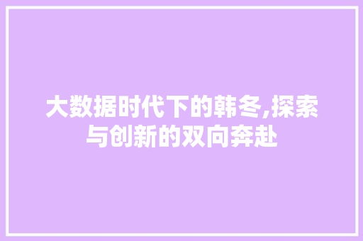 大数据时代下的韩冬,探索与创新的双向奔赴