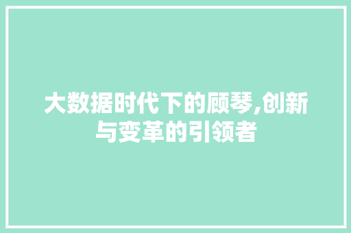 大数据时代下的顾琴,创新与变革的引领者