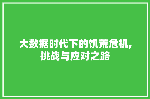 大数据时代下的饥荒危机,挑战与应对之路