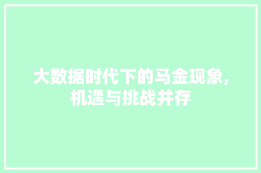大数据时代下的马金现象,机遇与挑战并存