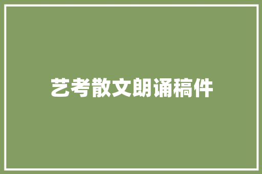 大数据时代周飞的创新足迹,数据驱动的未来探索 Web前端