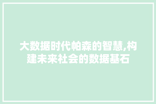 大数据时代帕森的智慧,构建未来社会的数据基石