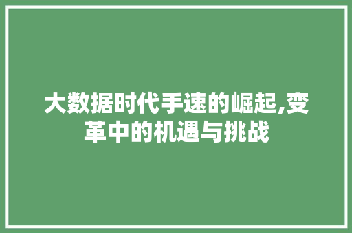 大数据时代手速的崛起,变革中的机遇与挑战
