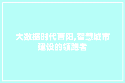 大数据时代曹阳,智慧城市建设的领跑者 建站教程
