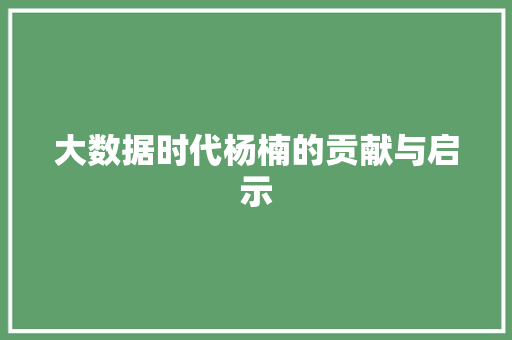 大数据时代杨楠的贡献与启示
