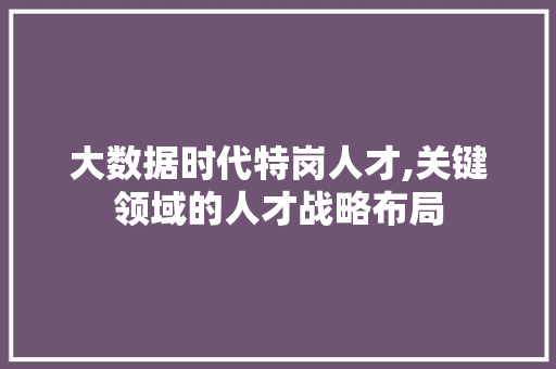 大数据时代特岗人才,关键领域的人才战略布局 Web前端
