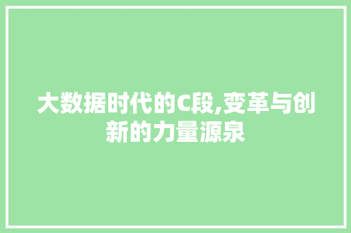 大数据时代的C段,变革与创新的力量源泉 服务器/数据库