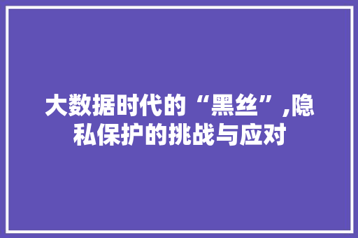 大数据时代的“黑丝”,隐私保护的挑战与应对 服务器/数据库