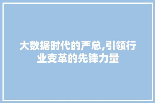 大数据时代的严总,引领行业变革的先锋力量