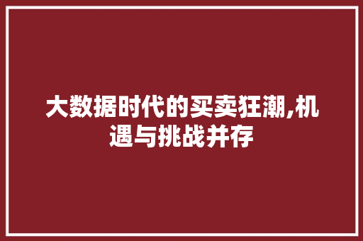 大数据时代的买卖狂潮,机遇与挑战并存