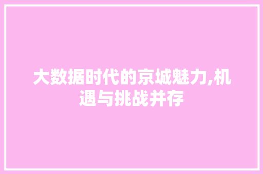 大数据时代的京城魅力,机遇与挑战并存