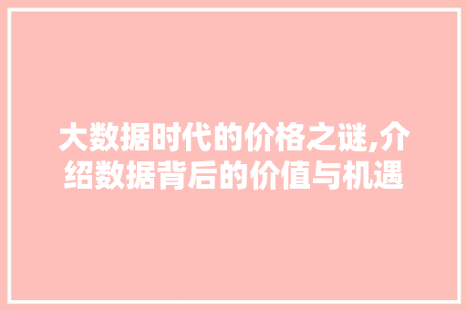 大数据时代的价格之谜,介绍数据背后的价值与机遇