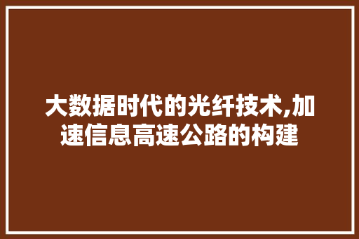 大数据时代的光纤技术,加速信息高速公路的构建