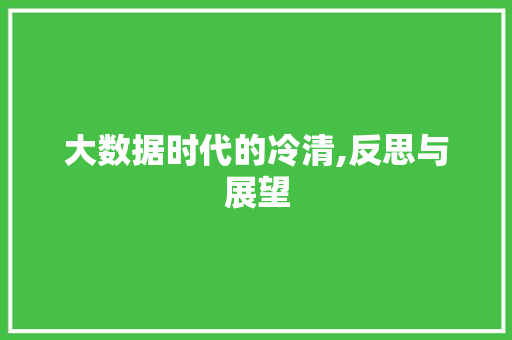 大数据时代的冷清,反思与展望
