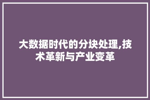 大数据时代的分块处理,技术革新与产业变革 Web前端