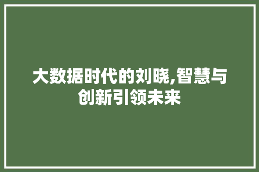 大数据时代的刘晓,智慧与创新引领未来 WordPress教程