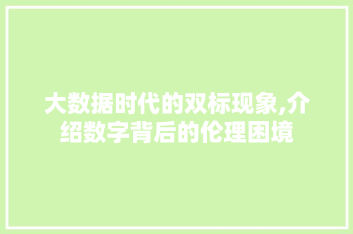 大数据时代的双标现象,介绍数字背后的伦理困境