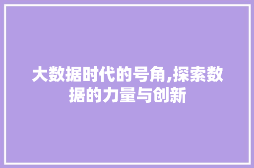大数据时代的号角,探索数据的力量与创新