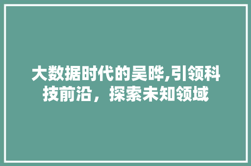 大数据时代的吴晔,引领科技前沿，探索未知领域 WordPress教程