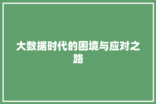 大数据时代的困境与应对之路