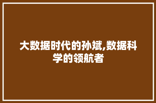 大数据时代的孙斌,数据科学的领航者 SEO教程