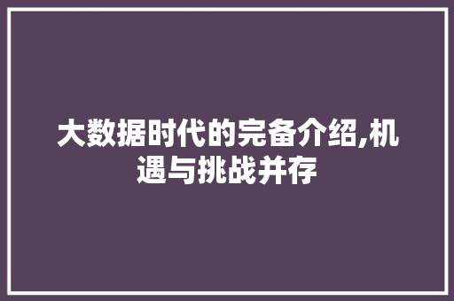 大数据时代的完备介绍,机遇与挑战并存 建站教程