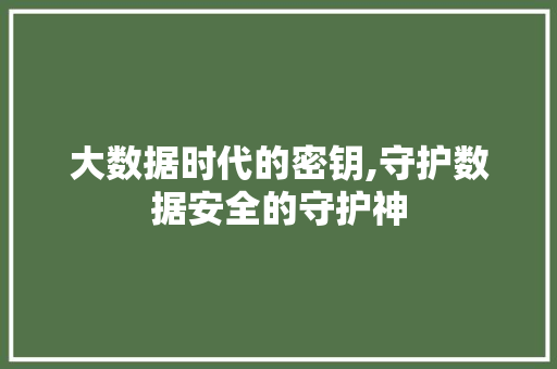 大数据时代的密钥,守护数据安全的守护神