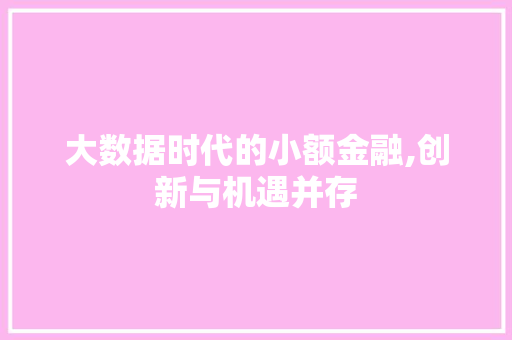大数据时代的小额金融,创新与机遇并存