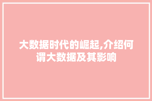 大数据时代的崛起,介绍何谓大数据及其影响