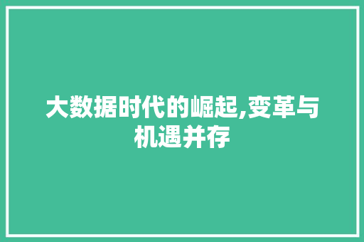大数据时代的崛起,变革与机遇并存