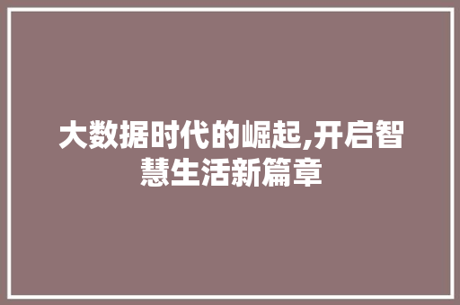 大数据时代的崛起,开启智慧生活新篇章 WordPress教程