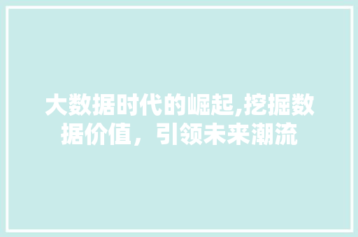 大数据时代的崛起,挖掘数据价值，引领未来潮流