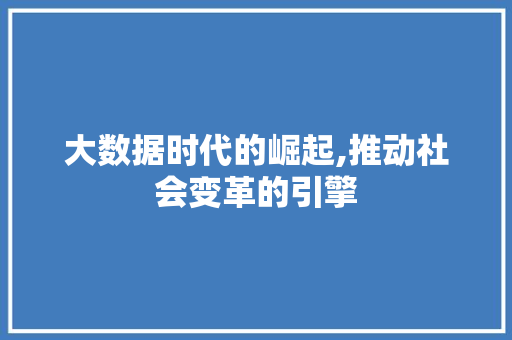 大数据时代的崛起,推动社会变革的引擎 SEO教程