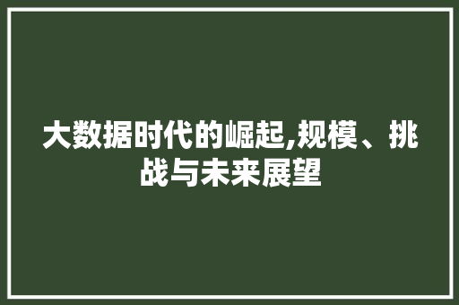 大数据时代的崛起,规模、挑战与未来展望 WordPress教程