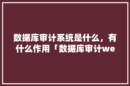 数据库审计系统是什么，有什么作用「数据库审计web界面是什么」 SEO教程