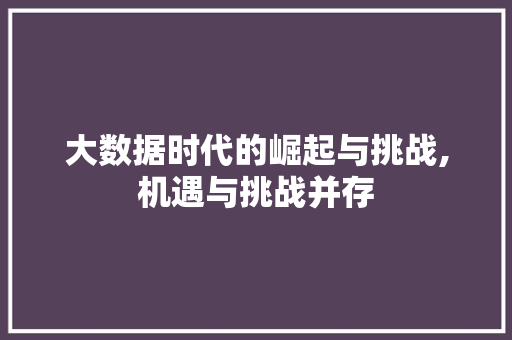 大数据时代的崛起与挑战,机遇与挑战并存