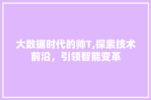 大数据时代的帅T,探索技术前沿，引领智能变革