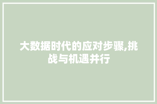 大数据时代的应对步骤,挑战与机遇并行