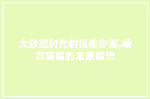 大数据时代的强推步骤,精准营销的未来趋势