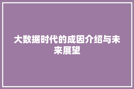 大数据时代的成因介绍与未来展望