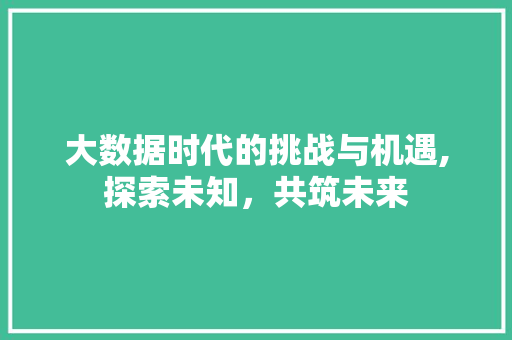 大数据时代的挑战与机遇,探索未知，共筑未来