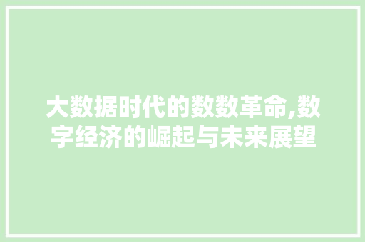 大数据时代的数数革命,数字经济的崛起与未来展望