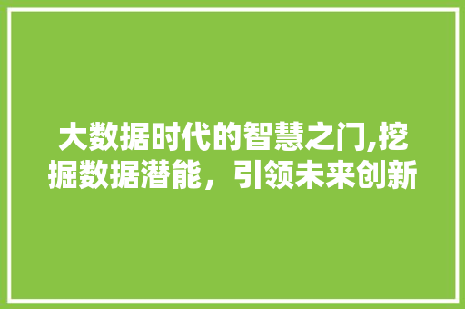 大数据时代的智慧之门,挖掘数据潜能，引领未来创新 服务器/数据库