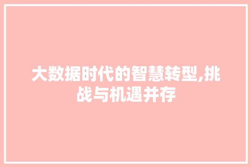 大数据时代的智慧转型,挑战与机遇并存