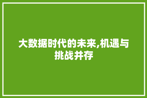 大数据时代的未来,机遇与挑战并存 友链在线
