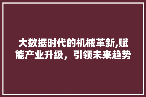 大数据时代的机械革新,赋能产业升级，引领未来趋势